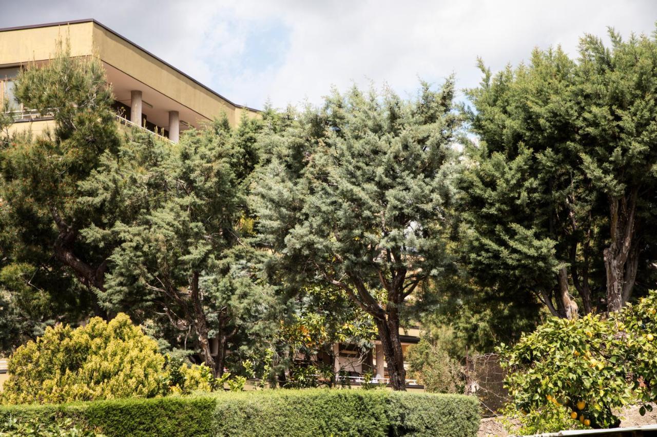 L' Albero Di Giada Bed & Breakfast Caserta Exterior photo